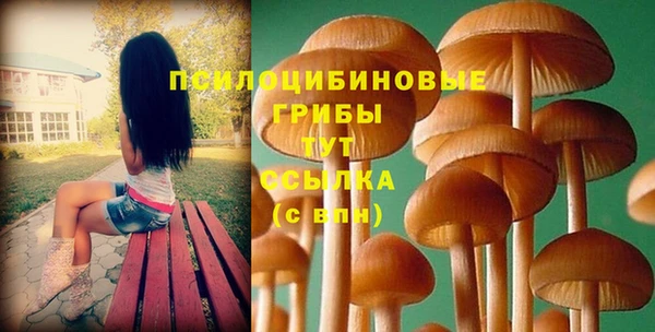 MDMA Алексеевка