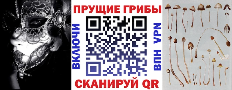 Галлюциногенные грибы ЛСД Катав-Ивановск
